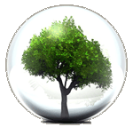 Baum
